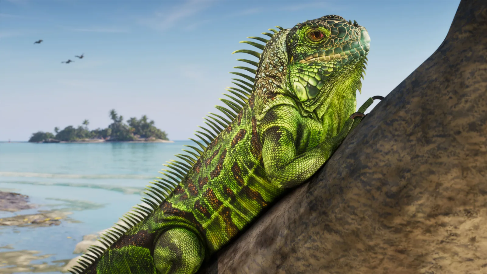 A green iguana clinging to a rock in close-up, turquoise shallows and a small palm-covered island behind it.